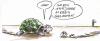 Cartoon: ... (small) by GB tagged animals,tiere
