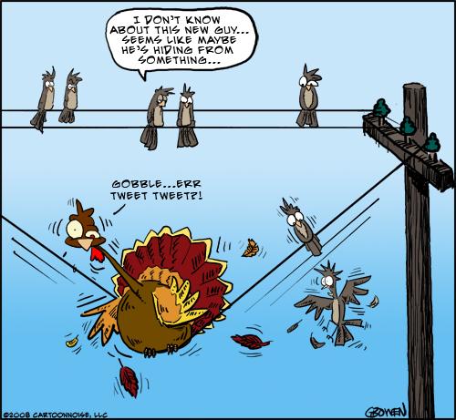 I don't know about this new guy... seems like maybe he's hiding from something gobble ...err tweet tweet?!