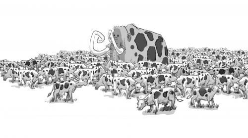 Cartoon: mammoth (medium) by r8r tagged mammoth,elephant,cow,cattle,herd,similar,different,pattern,mammuts,tiere,rüsseltier,ausgestorben,aussterben,artensterben,art,gruppe,herde,kühe,muster,ähnlichkeit,vergangenheit,gegenwart,säugetier,fleisch,gescheckt
