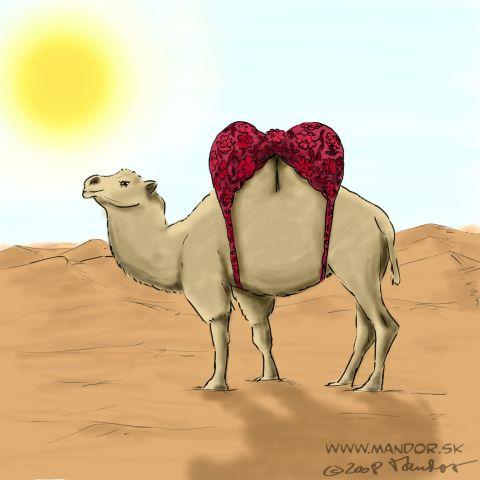 http://www.toonpool.com/user/1087/files/camel_140705.jpg