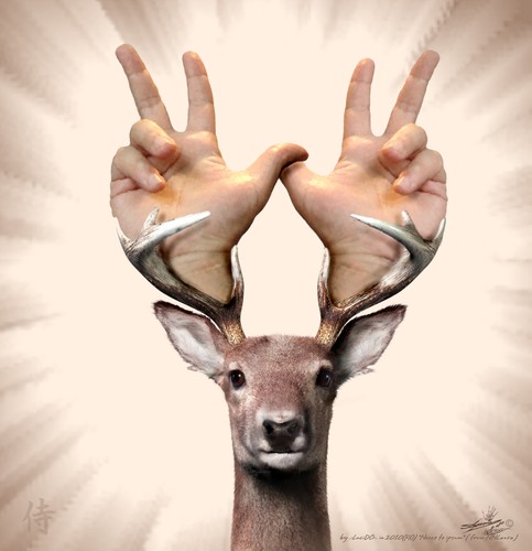 Pictures Of Deer Antlers. Cartoon: Who put deer antlers.