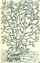 Cartoon: treehouse (small) by rudat tagged tree,house,treehouse