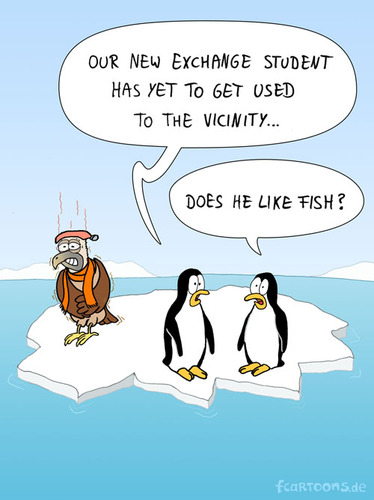 Cartoon: EXCHANGE STUDENT (medium) by Frank Zimmermann tagged antartica,bottle,cold,exchange,freeze,hot,ice,penguin,student,vulture,cartoon,arctic,pole