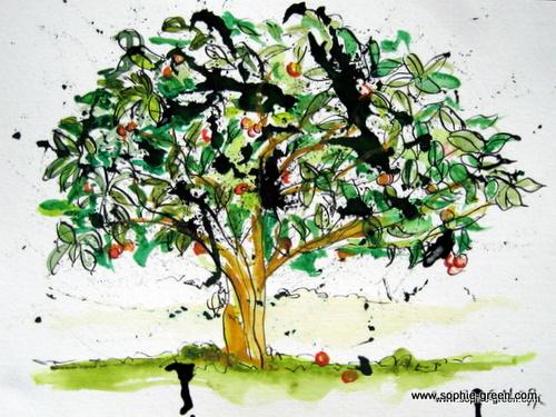 Cartoon: Valencia Orange Trees (medium) by sophiegreen tagged sophie,green, 