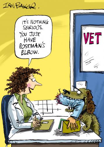 Cartoon: greeting card design (medium) by Ian Baker tagged dog,postman,greeting,card,doctor,vet