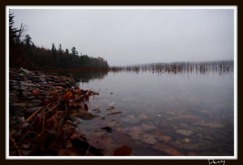 Cartoon: The Lake (medium) by Krinisty tagged lake,nature,fall,foggy,calm,beautiful,happy,water,woods,krinisty,art,photography,canada