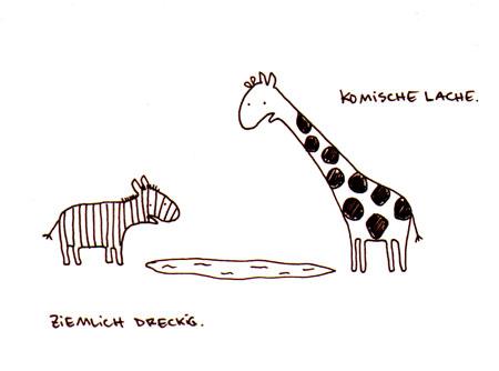 pictures of zebras cartoon