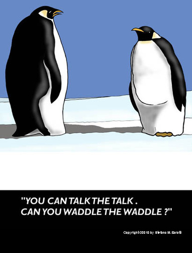 Penguin confrontation