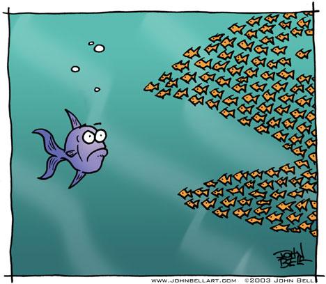 Cartoon: Strength in Numbers. (medium) by JohnBellArt tagged cartoon,fish,