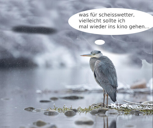 Cartoon: alternative (medium) by ab tagged wetter,winter,schnee,kälte,reiher,tier