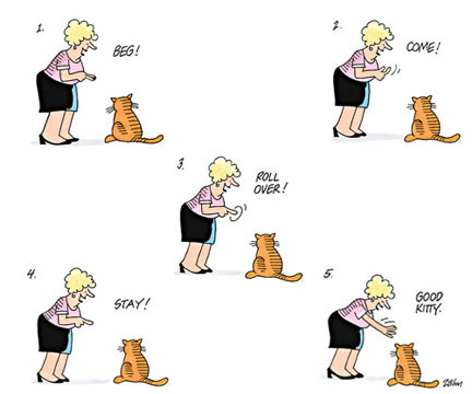 funny cat cartoons. Cartoon: funny cat cartoon