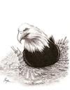 Cartoon: Never Forget! (small) by menekse cam tagged september,11,incubation,eagle,usa,debris,keepingwarm,attack