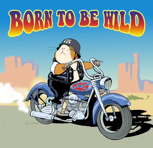 Cartoon: Born to be wild (medium) by Kringe tagged meerschweinchen,guineapigs,harley,biker,meerschweinchen,tiere,haustiere,illustration,wild,biker