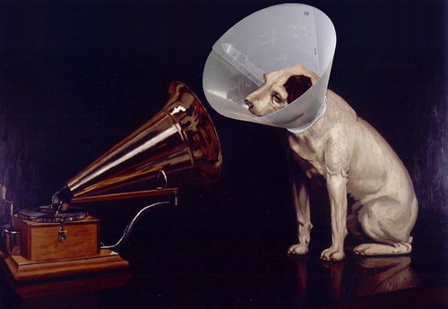 Cartoon: Masters voice (medium) by tanerbey tagged emblem,trademark,phonograph,dog,voice,master