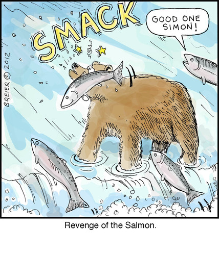 Cartoon: Salmon Smack (medium) by noodles tagged salmon,bears,fishing,noodles,revenge