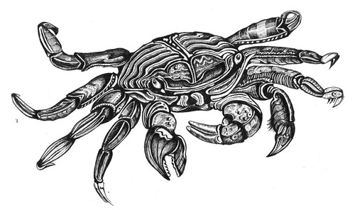 Cartoon: krebs (medium) by Battlestar tagged krebs,crab,tiere,animals