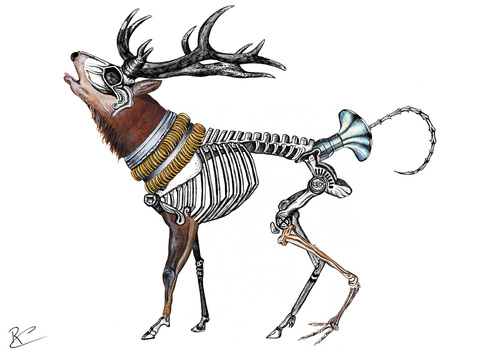 Cartoon Images Of Deer. Cartoon: my weird deer