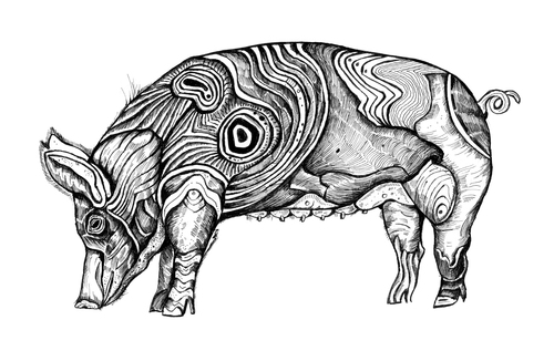 Cartoon: pig (medium) by Battlestar tagged animals,tiere,schwein,pig