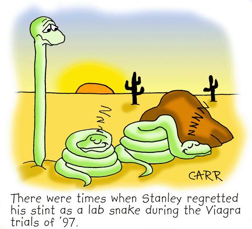 Cartoon: Ex-laboratory Snake (medium) by carrtoons tagged snakes,john,