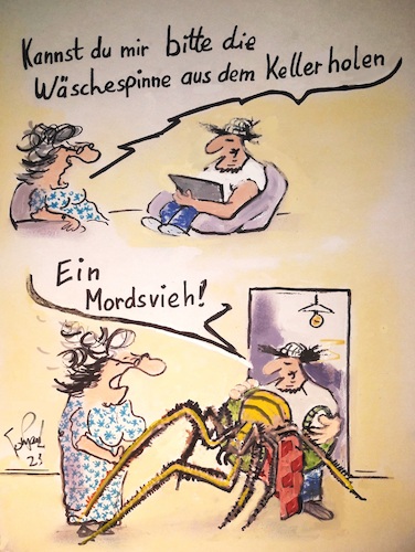 Cartoon: Die Wäschespinne (medium) by TomPauLeser tagged wäschespinne,spinne,keller,wäschekorb,schreck,phobie,spinnenphobie