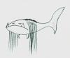 Cartoon: Menschenhai (small) by armella tagged fisch hai comic