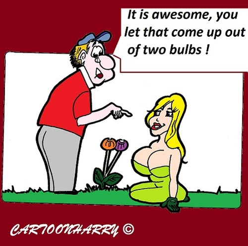 Cartoon: Nature (medium) by cartoonharry tagged bulb,comeup,girls,boobs,nature,cartoon,cartoonist,cartoonharry,dutch,toonpool