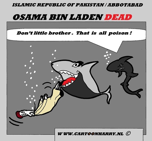 osama bin laden family photos_08. Cartoon: OSAMA BIN LADEN DEAD