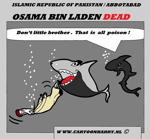 usama in laden cartoons. Cartoon: OSAMA BIN LADEN DEAD