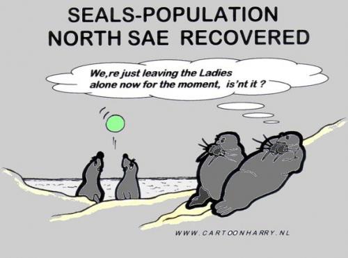 Cartoon: Recovering North Sea (medium) by cartoonharry tagged seal