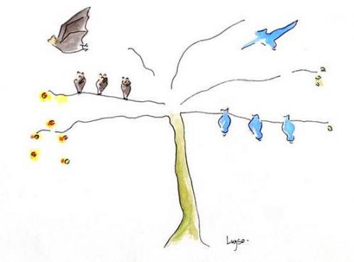 Cartoon: bats and birds (medium) by luyse tagged bats,and,birds