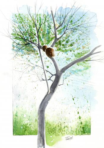 Cartoon: Tree5 (medium) by Jesse Ribeiro tagged nature,landscape,tree,watercolor,illustration