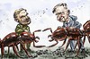 Cartoon: Hölldobler and Wilson (small) by Bob Row tagged science,ants,superorganism,entomology,sociobiology