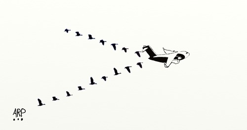 Cartoon: Ducks in a row (medium) by tonyp tagged arp,arptoons,ducks,planes