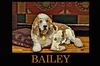 Cartoon: Bailey my Dog (small) by tonyp tagged arp,bailey,dog,animal,arptoons,cocker