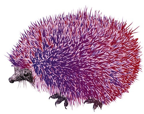 Cartoon: Acidulous hedgehog (medium) by LeeFelo tagged special,different,acid,purple,pink,hedgehog,acidulous