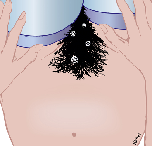 Cartoon: The brunette Christmas tree (medium) by LeeFelo tagged crises,hands,flakes,snow,loneliness,tradition,hair,pubic,nude,brunette,tree,christmas