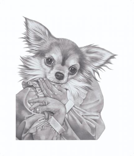 Long Haired Dog. Cartoon: Long Hair Chihuahua