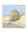 Cartoon: Der Säufer (small) by Butschkow tagged camel kamel wüste desert alcoholic alkoholiker alkohol beziehung streit wasser water