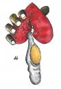 Cartoon: Heart (small) by Nizar tagged heart egg love