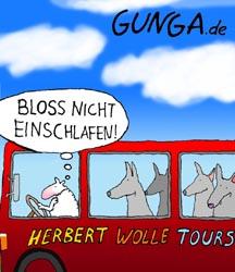 Cartoon: Herbert Wolle (medium) by Gunga tagged herbert,wolle