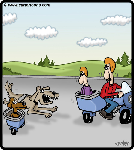 Cartoon: Dog Motorcycle (medium) by cartertoons tagged dog,dogs,pet,pets,motorcycle,sidecar,road,chase,chasing,driving,bark,barking
