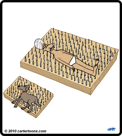 Cartoon: Nail bed for the dog (medium) by cartertoons tagged nail,bed