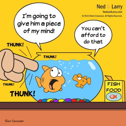 Cartoon: Ned and Larry - How Rude (medium) by NedandLarryComics tagged cartoon,cartoons,goldfish,fish,funny,fishbowl,comics,comic,ecards