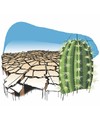 Cartoon: Waterless (small) by Alexandru Ifrim tagged cactus,waterless,deseer,illustration,earth