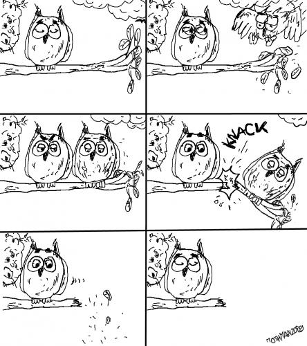Cartoon: Scenes of the forest (medium) by Mothman tagged owl,owls,forest,woods,animals,eule,eulen,wald,wälder,scenes,szenen,ast,freehand,schwarzweiß,monochrome,black,and,white