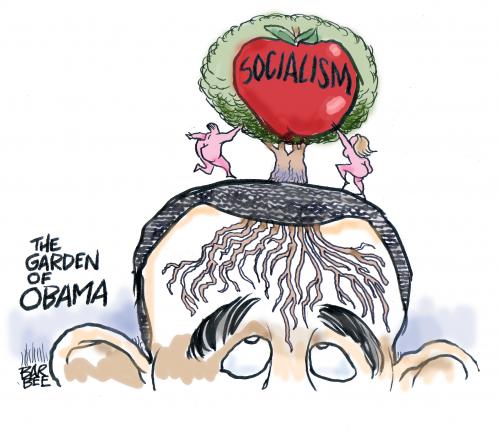 Pro Socialism Cartoons