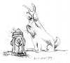 Cartoon: Bacteriophobic Dog (small) by ian david marsden tagged phobia,neurosis,dog,pets,psychosis,hydrant,