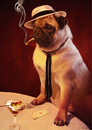 Cartoon: Bella Capone (small) by fantasio tagged poker,dog,pug,gambling,cards,game,playing,animal,anthro,fur,illustration,mafia,al,capone,illu,cigar,smoking
