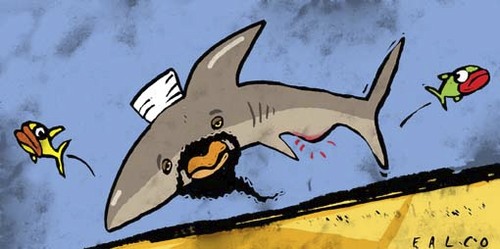 shark bin