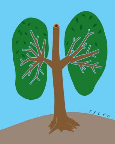 Cartoon: tree (medium) by alexfalcocartoons tagged tree